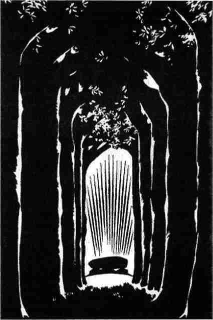 Иллюстрация к книге — Варяжская Русь. Славянская Атлантида [i_041.jpg]