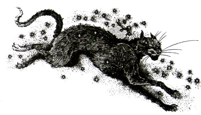 Иллюстрация к книге — Амулет Судьбы [i_002.jpg]