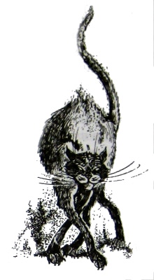 Иллюстрация к книге — Амулет Судьбы [i_011.jpg]