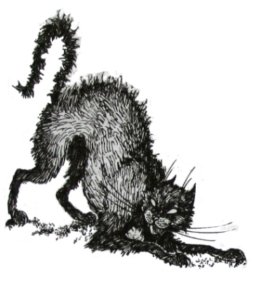 Иллюстрация к книге — Амулет Судьбы [i_029.jpg]