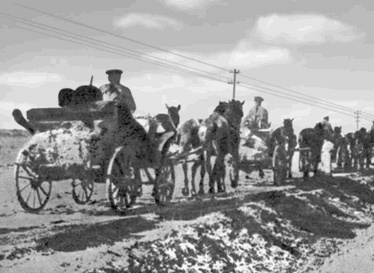 Иллюстрация к книге — Буденный [i_027.jpg]