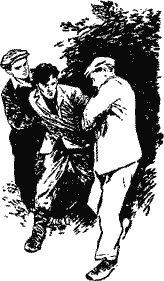 Иллюстрация к книге — Дело "пестрых" [i_009.jpg]