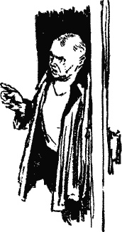 Иллюстрация к книге — Дело "пестрых" [i_019.jpg]