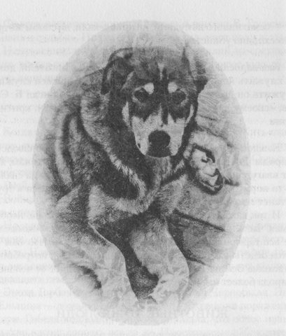 Иллюстрация к книге — Причуды моей памяти [_19.jpg]