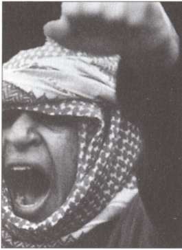 Иллюстрация к книге — Террор на пороге [i_021.jpg]