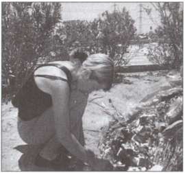 Иллюстрация к книге — Террор на пороге [i_027.jpg]