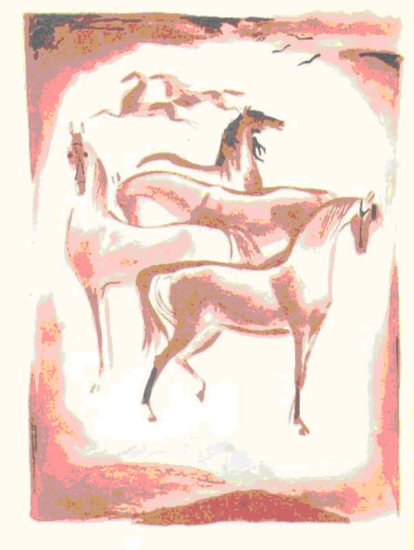 Иллюстрация к книге — Самый красивый конь [_3.jpg]