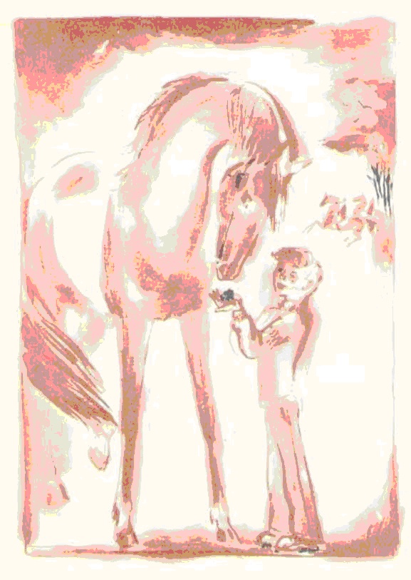 Иллюстрация к книге — Самый красивый конь [_5.jpg]