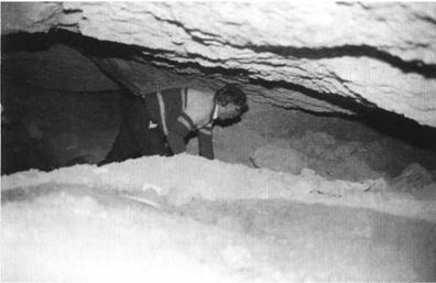 Иллюстрация к книге — Бумаги Иисуса [image033.jpg]