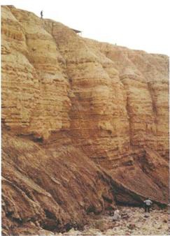 Иллюстрация к книге — Бумаги Иисуса [image053.jpg]