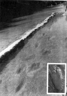 Иллюстрация к книге — Запретная археология [image03.jpg]