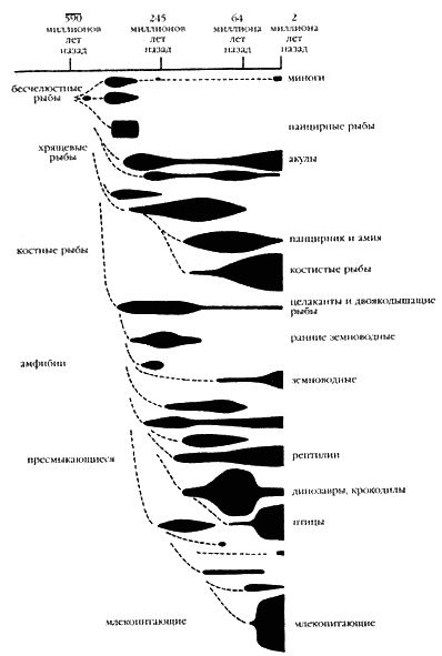 Иллюстрация к книге — Запретная археология [image06.jpg]