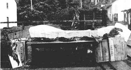 Иллюстрация к книге — Запретная археология [image11.jpg]