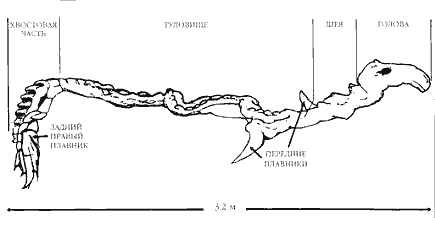 Иллюстрация к книге — Запретная археология [image12.jpg]