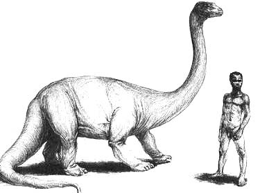 Иллюстрация к книге — Запретная археология [image15.jpg]