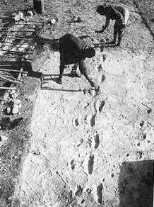 Иллюстрация к книге — Запретная археология [image19.jpg]