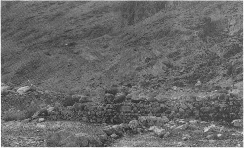 Иллюстрация к книге — Свитки Мертвого моря [img_38.jpg]