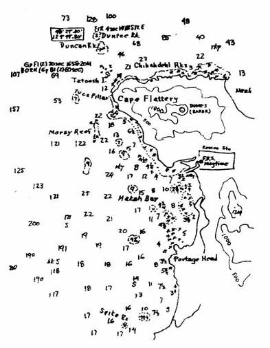 Иллюстрация к книге — Хорьки-спасатели на море [image02.jpg]