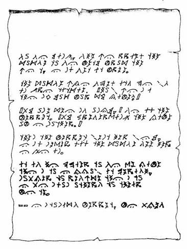 Иллюстрация к книге — Хорьки-спасатели на море [image06.jpg]