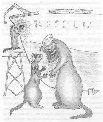 Иллюстрация к книге — Хорьки-спасатели на море [image10.jpg]