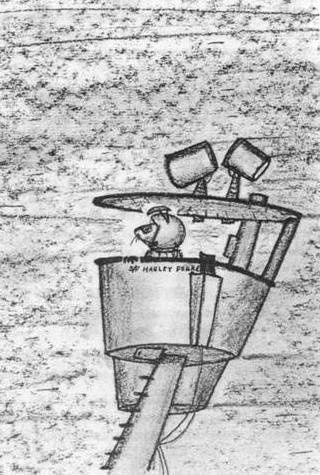 Иллюстрация к книге — Хорьки-спасатели на море [image15.jpg]