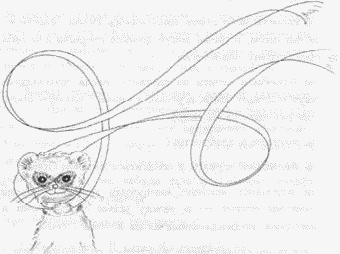 Иллюстрация к книге — Хорьки в поднебесье [image19.jpg]