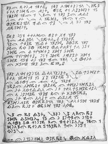 Иллюстрация к книге — Хорьки в поднебесье [image3.jpg]