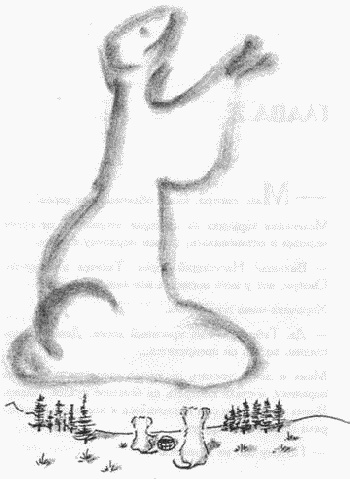 Иллюстрация к книге — Хорьки в поднебесье [image5.jpg]