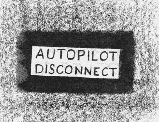 Иллюстрация к книге — Хорьки в поднебесье [image8.jpg]