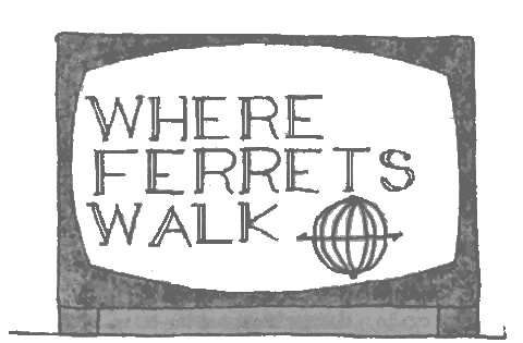 Иллюстрация к книге — Хорек-писатель в поисках музы [pic11.jpg]