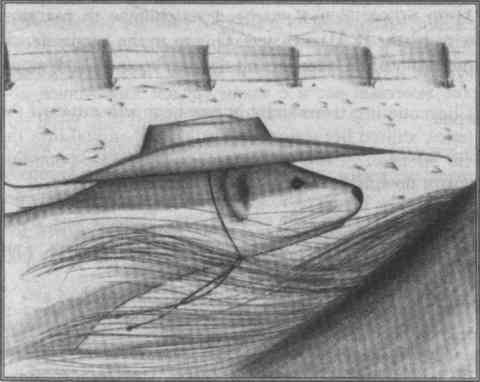 Иллюстрация к книге — Хорьки-фермеры в горах [pic06.jpg]