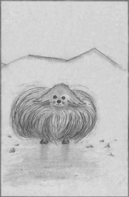 Иллюстрация к книге — Хорьки-фермеры в горах [pic12.jpg]