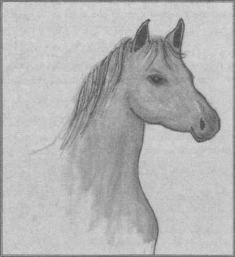 Иллюстрация к книге — Хорьки-фермеры в горах [pic13.jpg]