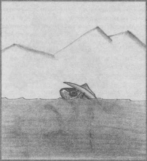 Иллюстрация к книге — Хорьки-фермеры в горах [pic14.jpg]