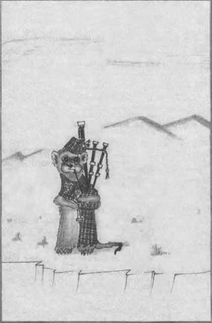 Иллюстрация к книге — Хорьки-фермеры в горах [pic16.jpg]