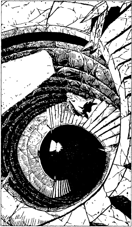 Иллюстрация к книге — Дело совести [i_004.jpg]