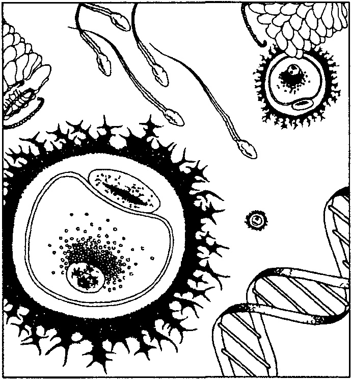 Иллюстрация к книге — Дело совести [i_005.jpg]