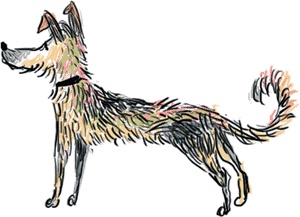 Иллюстрация к книге — Чужое солнце [i_033.jpg]