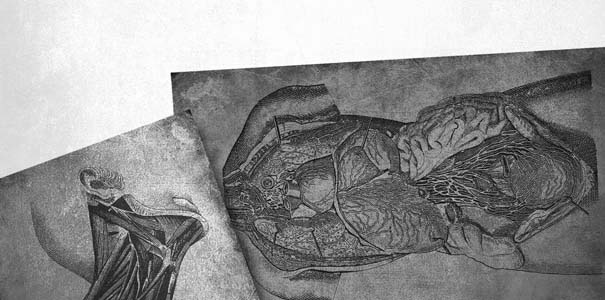 Иллюстрация к книге — Приют [i_011.jpg]