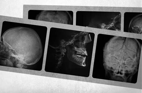 Иллюстрация к книге — Приют [i_012.jpg]