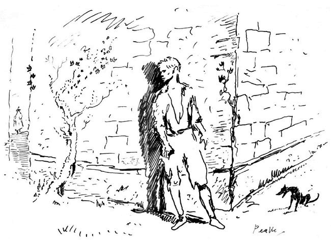 Иллюстрация к книге — Титус один [i_007.jpg]