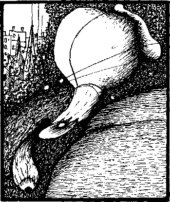 Иллюстрация к книге — Тропик Рака [i_001.jpg]