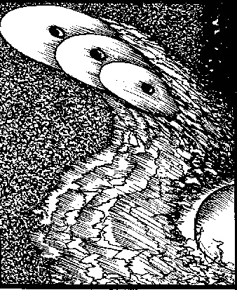 Иллюстрация к книге — Тропик Рака [i_007.jpg]