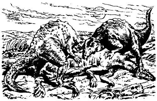 Иллюстрация к книге — Затерянная Динотопия [i_011.jpg]