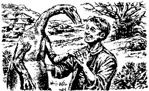 Иллюстрация к книге — Затерянная Динотопия [i_014.jpg]