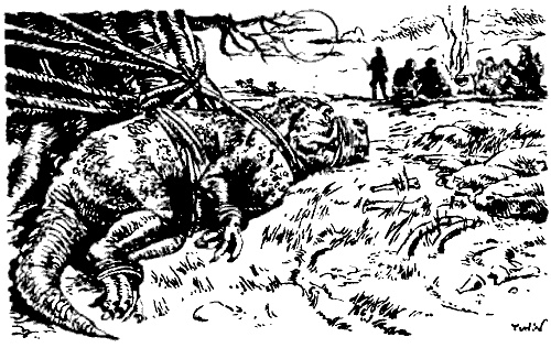 Иллюстрация к книге — Затерянная Динотопия [i_017.jpg]