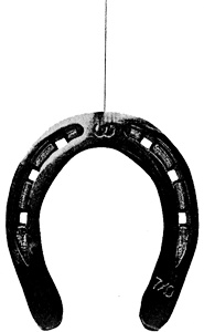 Иллюстрация к книге — Подмена [i_005.jpg]