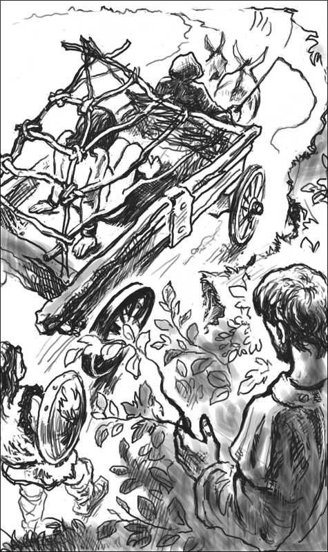 Иллюстрация к книге — Рысь. Патриций [g5.jpg]