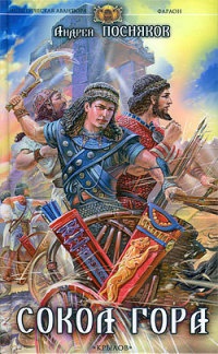 Книга Сокол Гора