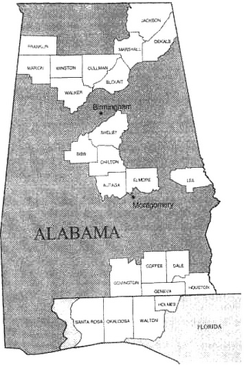 Иллюстрация к книге — Крах США. Вторая гражданская война 2020 [image001.jpg]